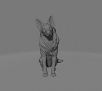 Swiss Shepherd 3D model