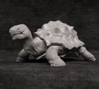 Turtle - No Presupported 3D model