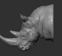 Rhinoceros head 3D model