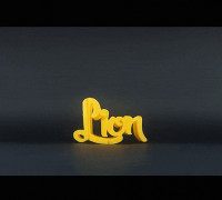 Text Flip - Lion 2.0 3D model