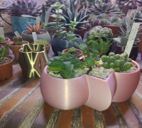 Abstract flower pot 3D model