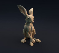 Jackrabbit 3D model