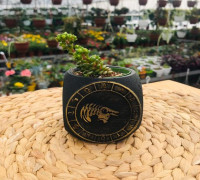 Zodiac Taurus Planter Pot 3D model