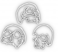 3 Skulls 3D model