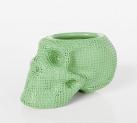 Voronoi skull vase 3D model