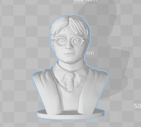 Harry Potter - Bust - 80mm 3D model