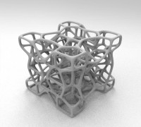 voro 21 3D model