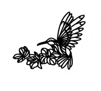 colibri 3D model