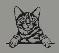 Cat (Pack) 3D model