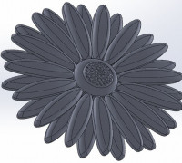 Daisy Flower 3D model