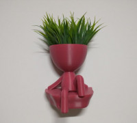 Robert Plant Wall Vase/Planter 3D model