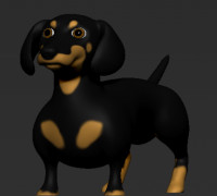 Dachshund 3D model
