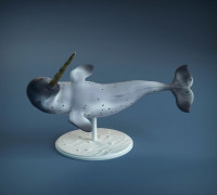 Narwal 3D model