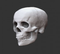 BASIC CRANE 3D model