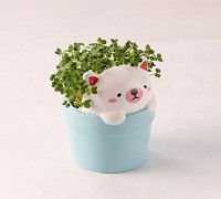 Cat bonsai flowerpot 3D model