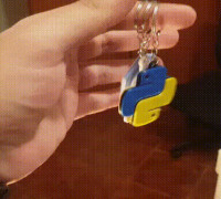 Programming Keychain Bundle 4 (Java + C++ + Python) 3D model