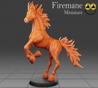 Firemane- Tabletop Miniature 3D model