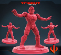SUPERIOR TINMAN 3D model