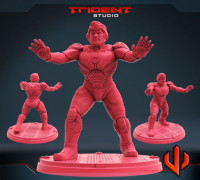 SUPERIOR TINMAN 3D model