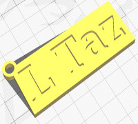 L Taz 3D model