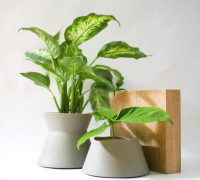 Plant stand - Haifa 3D model