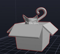 Cat in Box 3D model