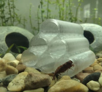 Shrimp Tubes 3D model