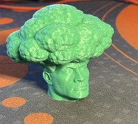 The Brocc 3D model