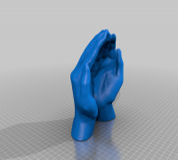 cupped hands 3D model