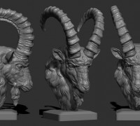 Ibex goat head 3D model