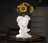 David Head Planter pot 3D model