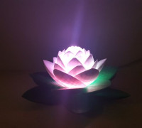 Lotus Lamp #POLYMAKERCHALLENGE 3D model