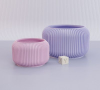 STRIPED PLANTER 3D model
