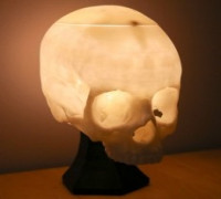 Awesome Skull Lamp! 3D model