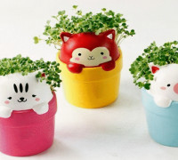 Cat pots 3D model