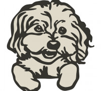 Wall art - bichon 3D model