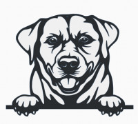 Wall art - Labrador Retriver 3D model