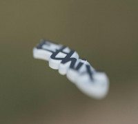Ethix Keychain 3D model