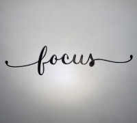 Focus 3D model
