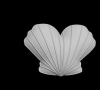 shell from the beach 3D model