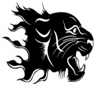 2D Flamed Panther 3D model