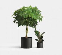 Plant Something 22 3D model