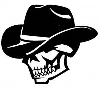 2D Skull with hat 3D model