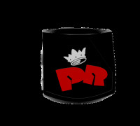 Mate PR - Indio Solari 3D model