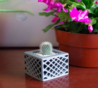 Star Spectrum Planter 3D model