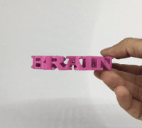 Text Flip, Brain 3D model