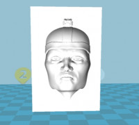 Optical illusion face 3D model