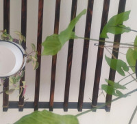 Plant pot hanger ring 3D model