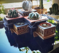CactusHotel 3D model