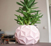 Geodesic Planter Pot 3D model